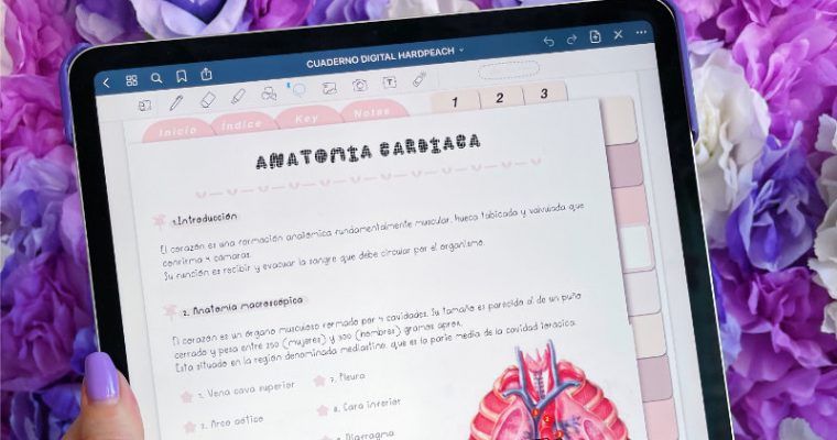 Cómo hacer apuntes en iPad: Guía completa para apuntes, apps, lápices y más
