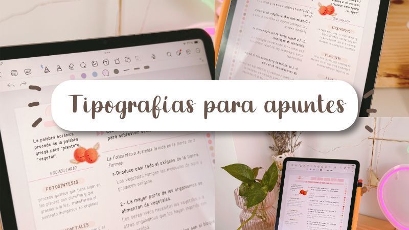 Tipografías para apuntes, textos y documentos: cómo elegir la mejor opción y por qué las manuscritas ayudan tanto